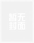 看到我的猫了吗综英美